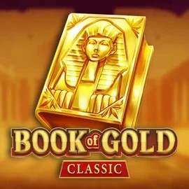 game logo by Playson on slotorro.com